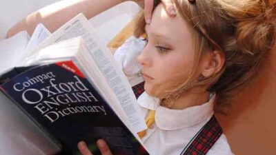 行政書士の仕事は英語で差別化できる？おすすめ資格も